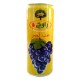 RCH RAISIN ROUGE JUS 250ML