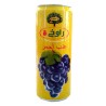 RCH raisin rouge jus 250ml