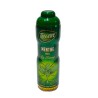 TEISSEIRE MENTHE  600ML