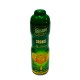 TEISSEIRE ORANGE B 600ML