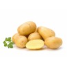 Pomme terre  X25KG 45+