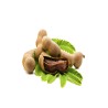 450G TAMARIN SUCRE X20
