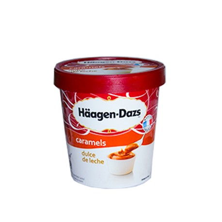 HAAGEN POT DULCE LECHE 430