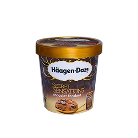 HAAGEN POT SENS CHOCO