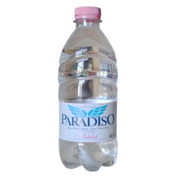 PARADISIO EAU MINERAL 500ML