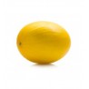 MELON LE KG