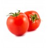 TOMATE FRAIS LE KG